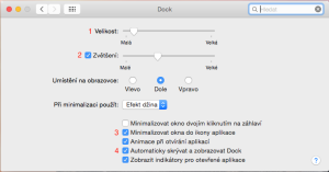 Dock_setting